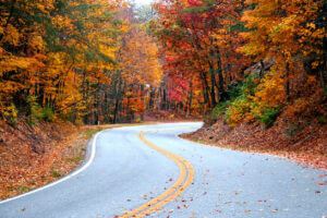 rural road car accidents